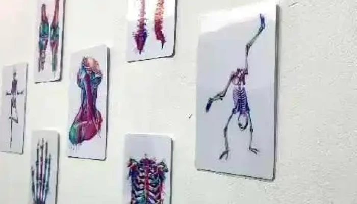 Superarte Kinesiologia Fisioterapia Y Estetica Mas Recientes - Córdoba
