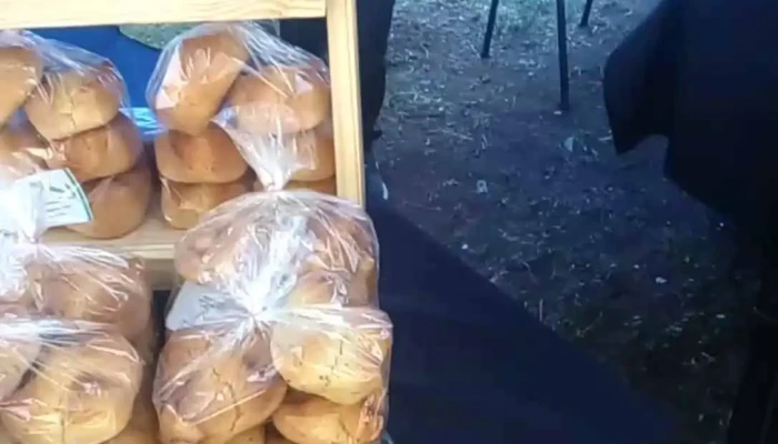 Tortitas Jachallera Dona Pepa Regionales Jachal Del Propietario - Santa Lucía