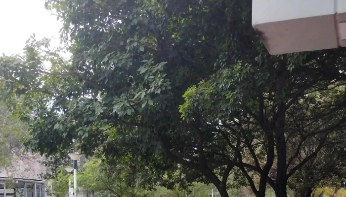 Unc -    Facultad De Medicina   Escuela De Kinesiologia Y Fisioterapia Instagram - Córdoba