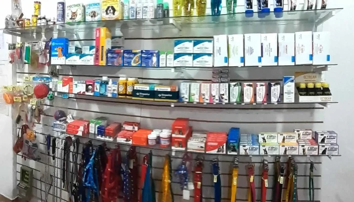Veterinaria Repiso Clinica Y Sanidad Animal - Av. Madariaga 12