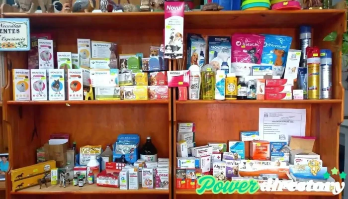 Veterinaria San Francisco - Mz 16