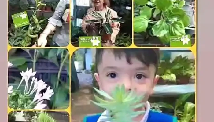 Vivero El Punteno Ferrarelli Del Propietario - La Punta