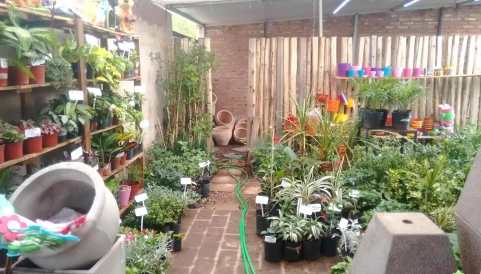 Vivero El Punteno Ferrarelli Interior - La Punta